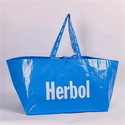 PP Woven Shopping Bag